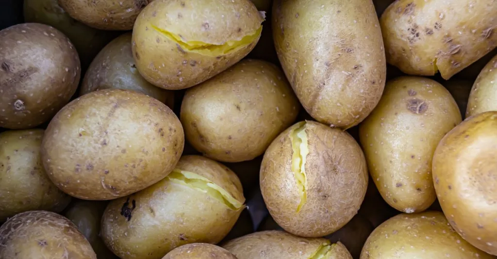 découvrez comment et quand introduire les amidons dans l'alimentation de votre bébé pour une diversification alimentaire saine et équilibrée.