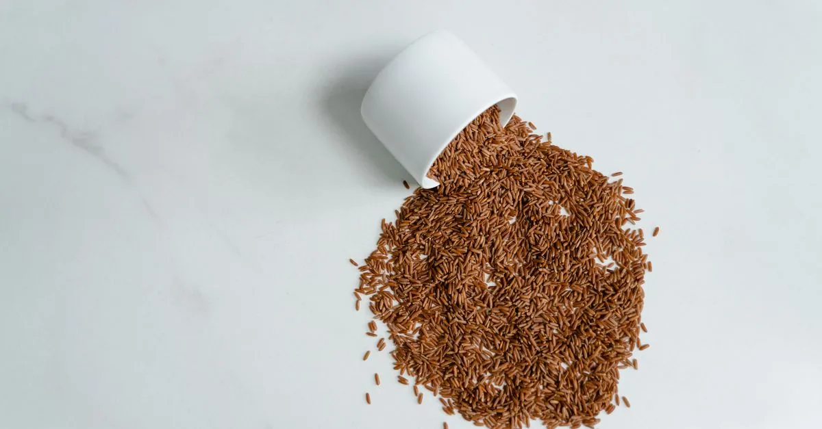 découvrez comment préparer facilement du riz pour bébé, des recettes saines et adaptées aux tout-petits, pour une alimentation équilibrée dès les premiers repas.
